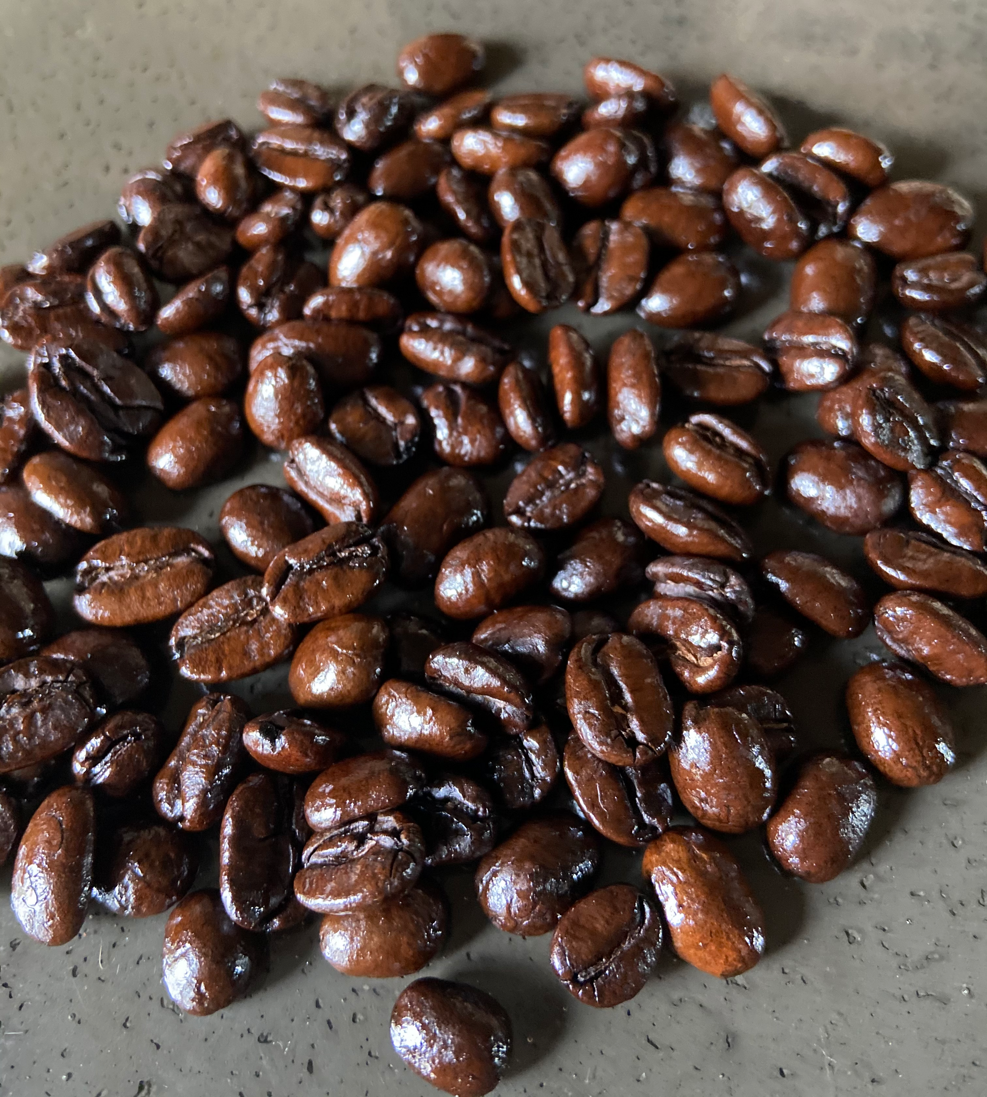 steel oak brews blend coffee dominican costa rican colombian vietnamese robusta rwanda