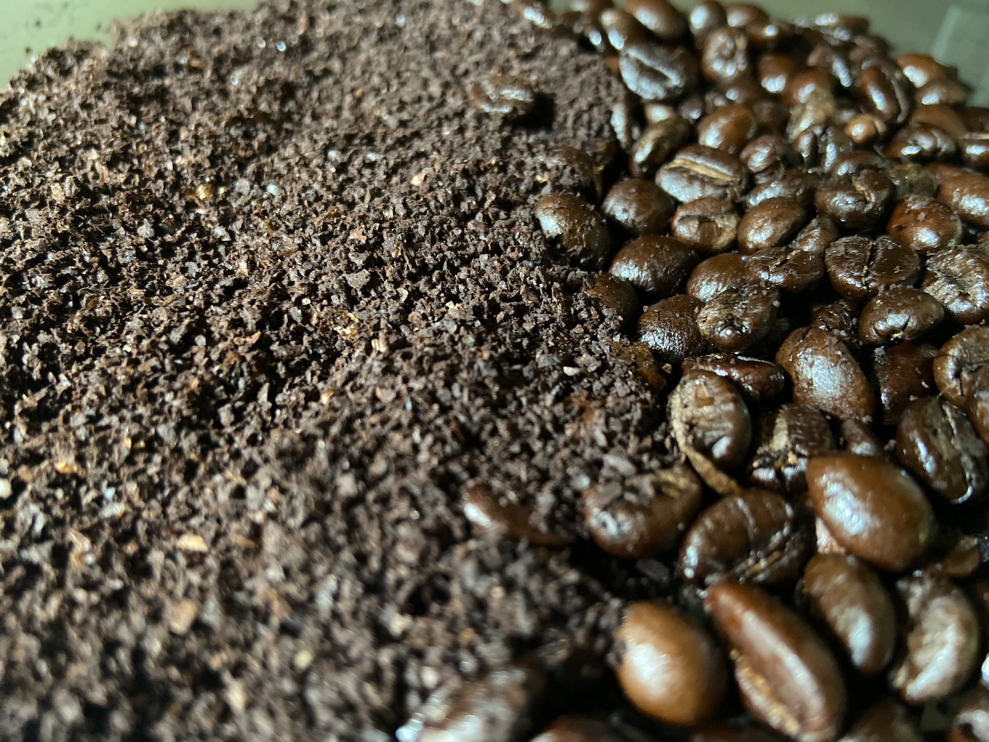 steel oak brews blend coffee dominican costa rican colombian vietnamese robusta rwanda