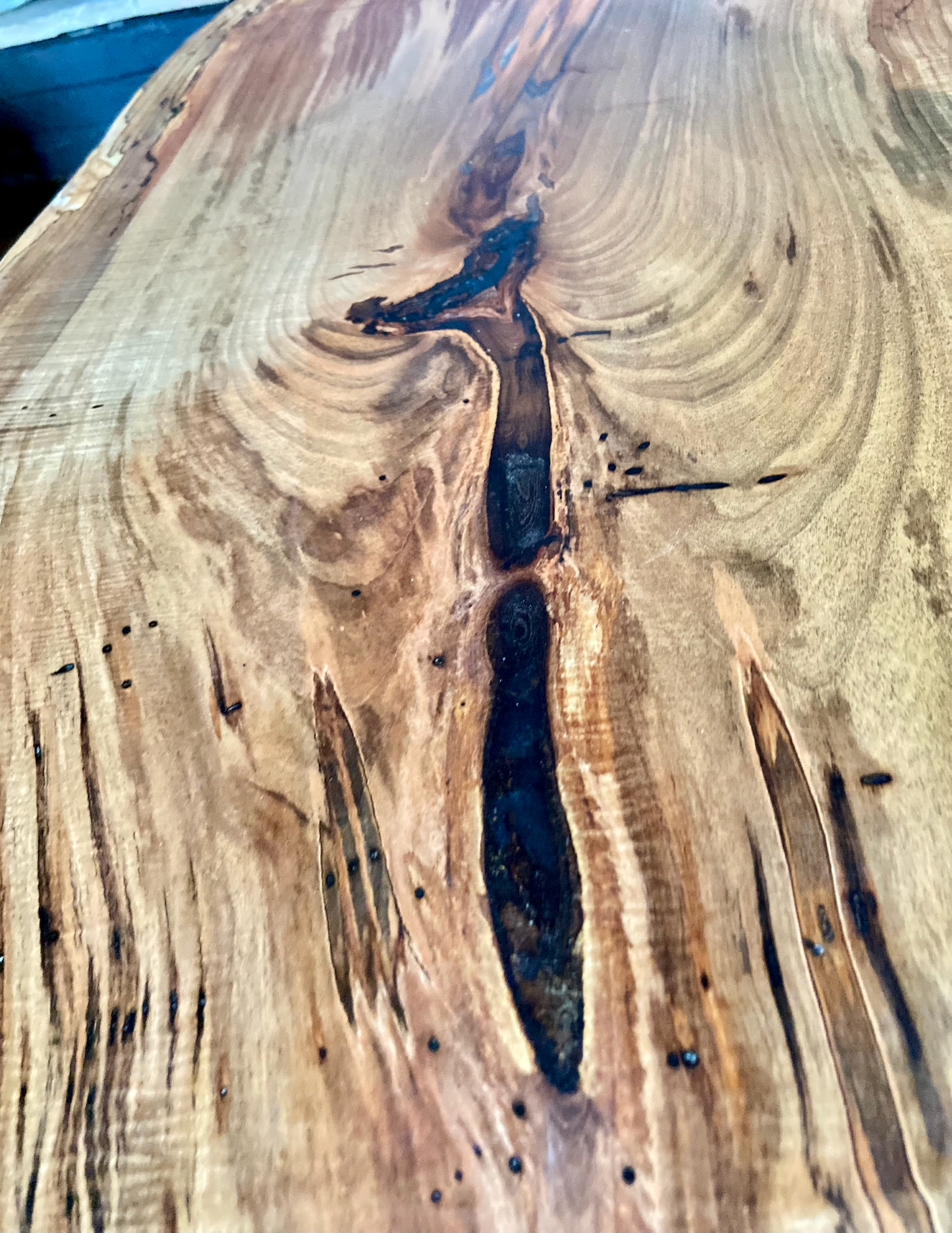 Natural Curved Live Edge Ambrosia Maple Wood Table