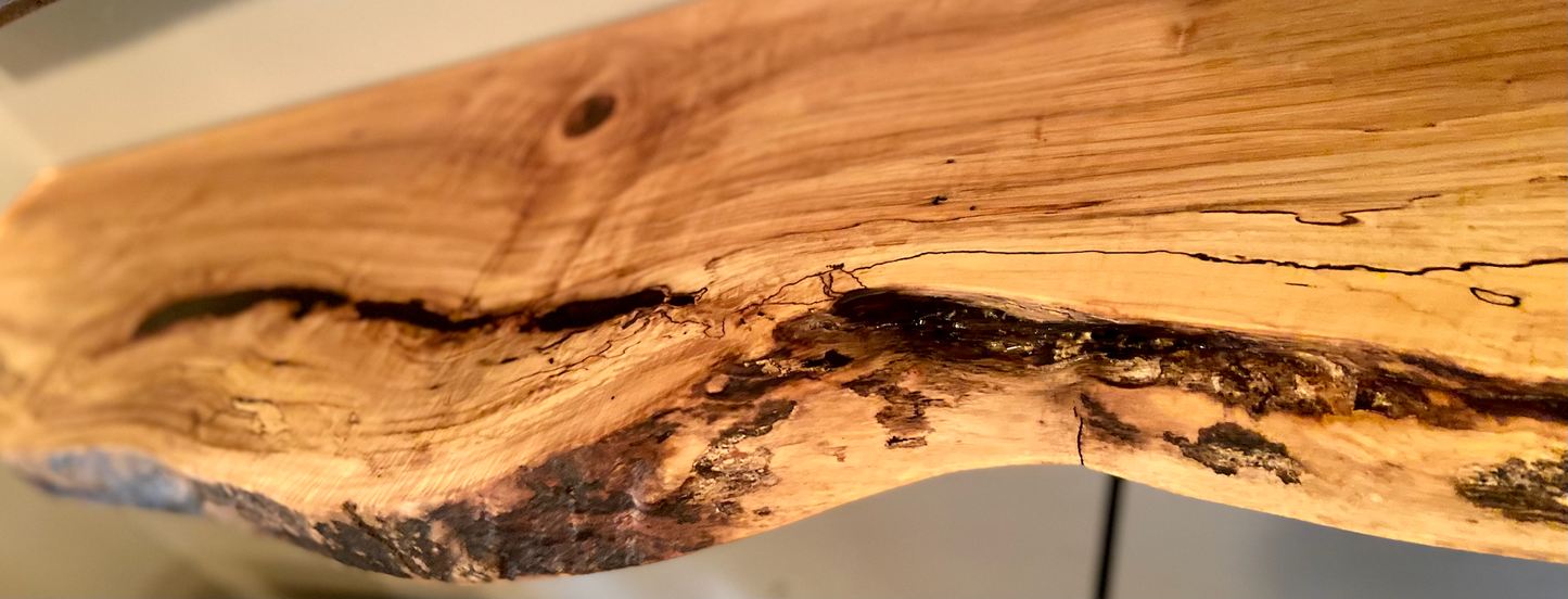 High Figure Live Edge Spalted Maple Organizer Shelf with Naturally Wavy Edge