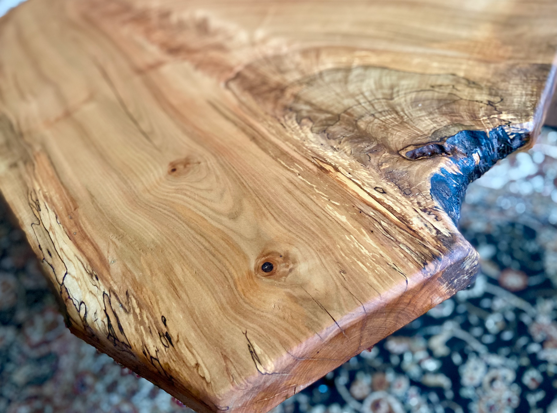 Live Edge Forked Maple Table w/ Beautiful Fiddleback Character|Large Natural Live Edge Spalted Maple Table|Modern Rustic Coffee Table