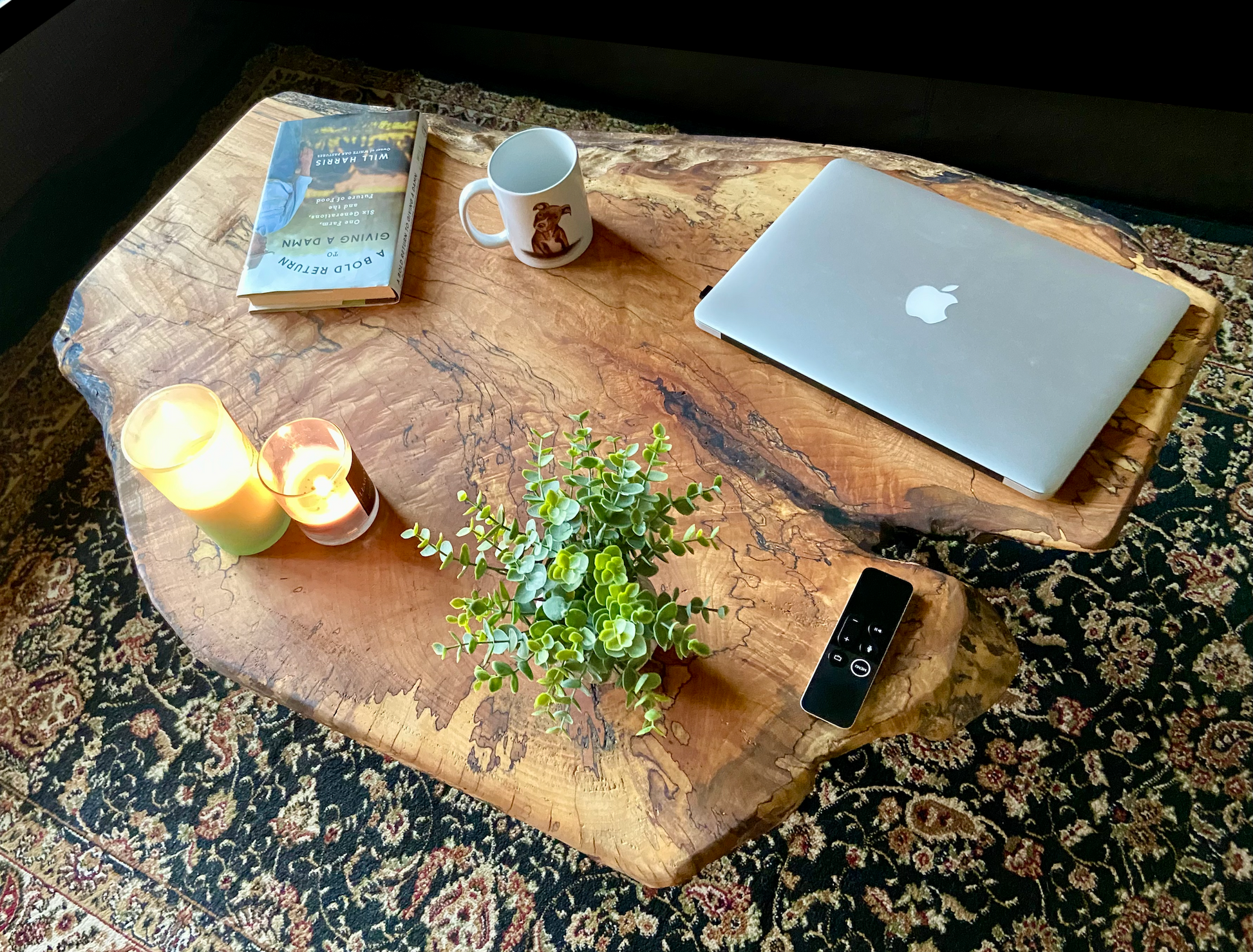 Uniquely Shaped Wide Live Edge Spalted Maple Table w/ Extra Spalting|Natural Edge Rustic Coffee Table|Forked Live Edge|Round Live Edge