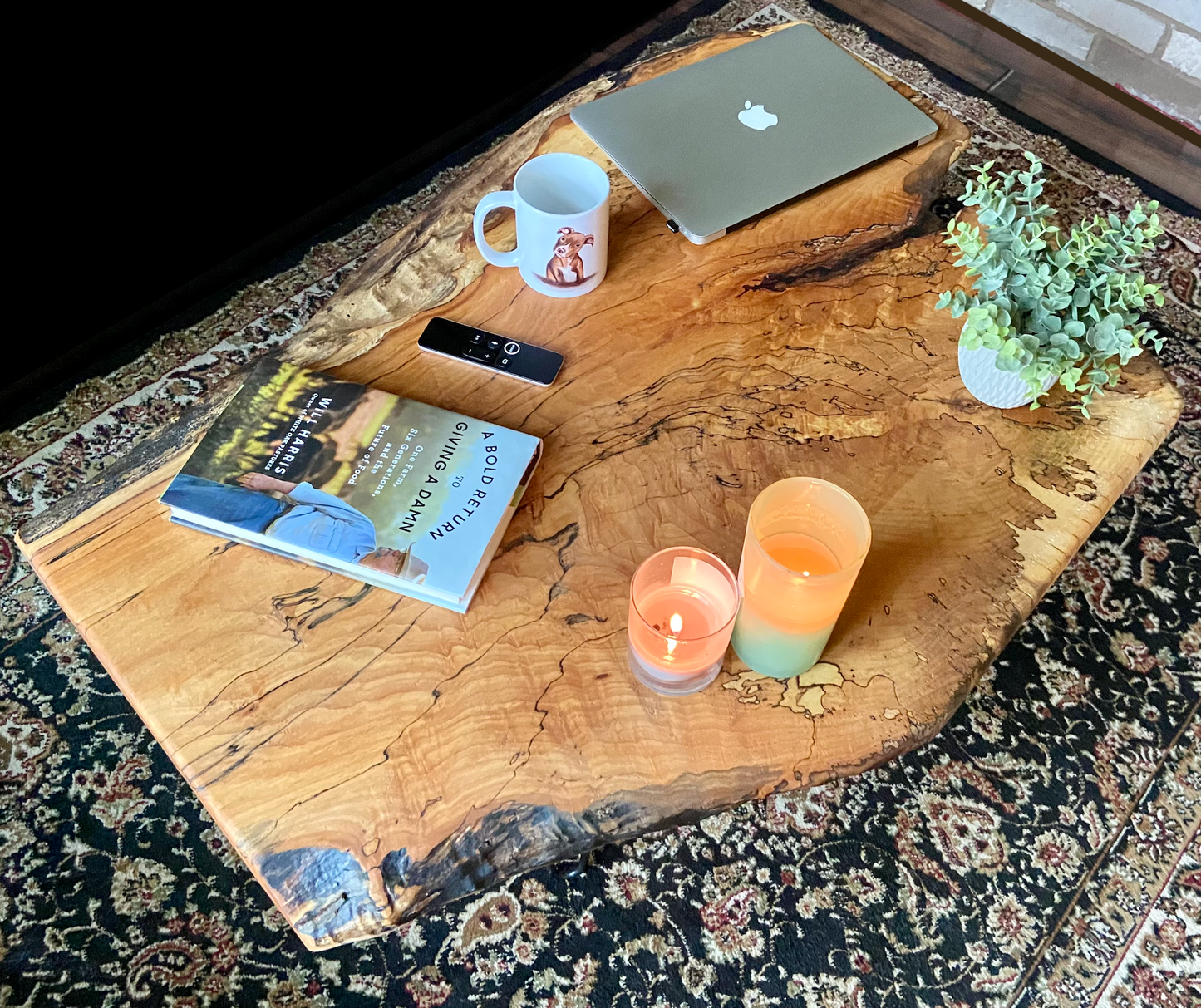 Uniquely Shaped Wide Live Edge Spalted Maple Table w/ Extra Spalting|Natural Edge Rustic Coffee Table|Forked Live Edge|Round Live Edge