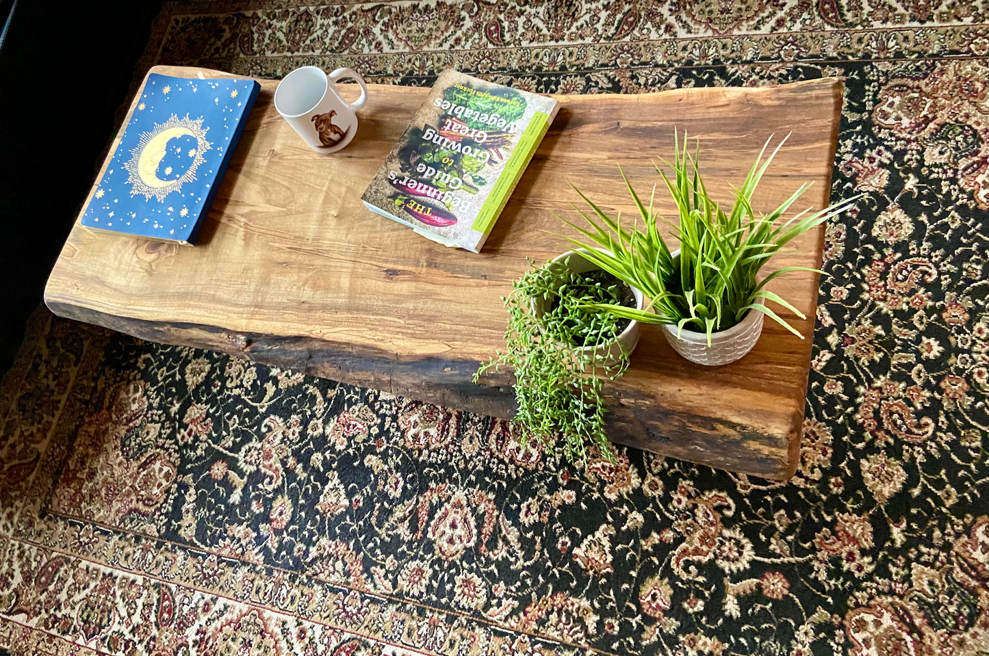 Midsize Live Edge Wormy Ambrosia Maple Coffee Table|Live Edge Maple Table|Large Wormy Maple Coffee Table|Live Edge Spalted Wood Coffee Table