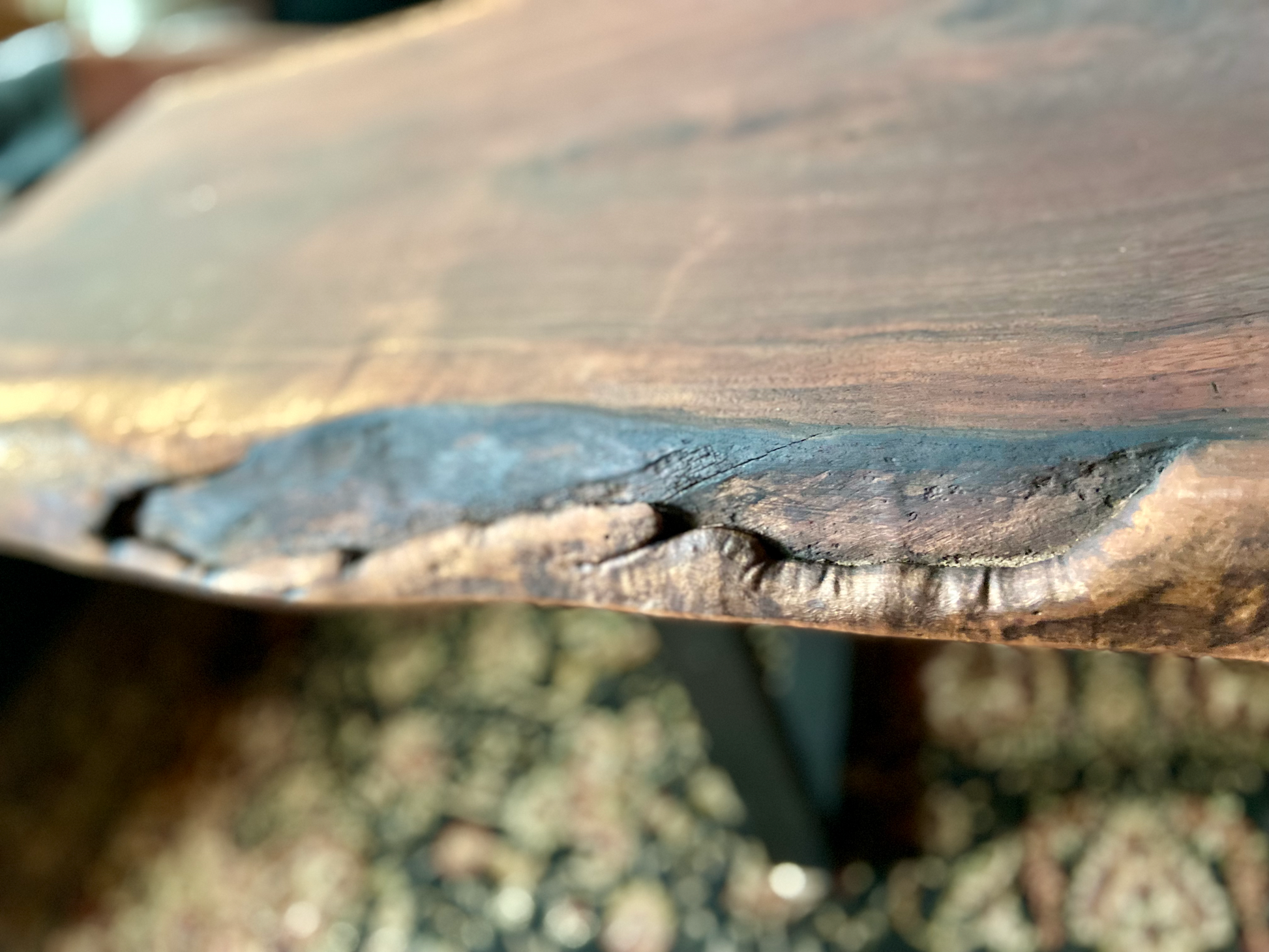 Natural Live Edge Walnut Coffee Table|Large Live Edge Coffee Table|Wavy Black Walnut Table|Rustic Live Edge Table|Natural Edge Coffee Table