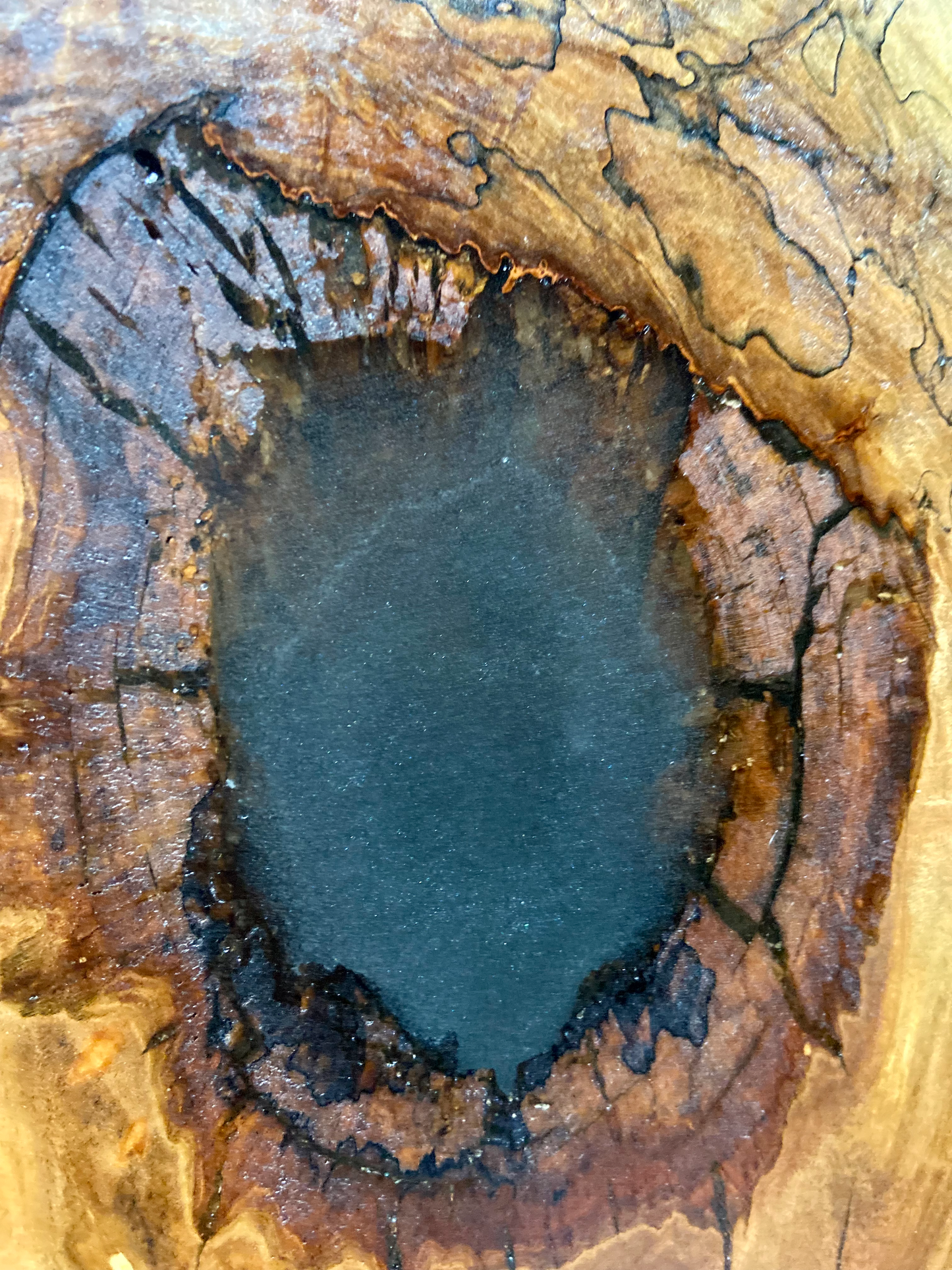 Gorgeous Live Edge Spalted and Wormy Maple Coffee Table