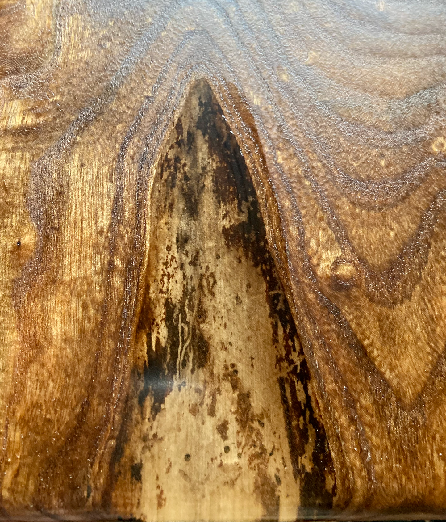 Burl Chestnut Coffee Table w/ Custom Chestnut Wood Legs