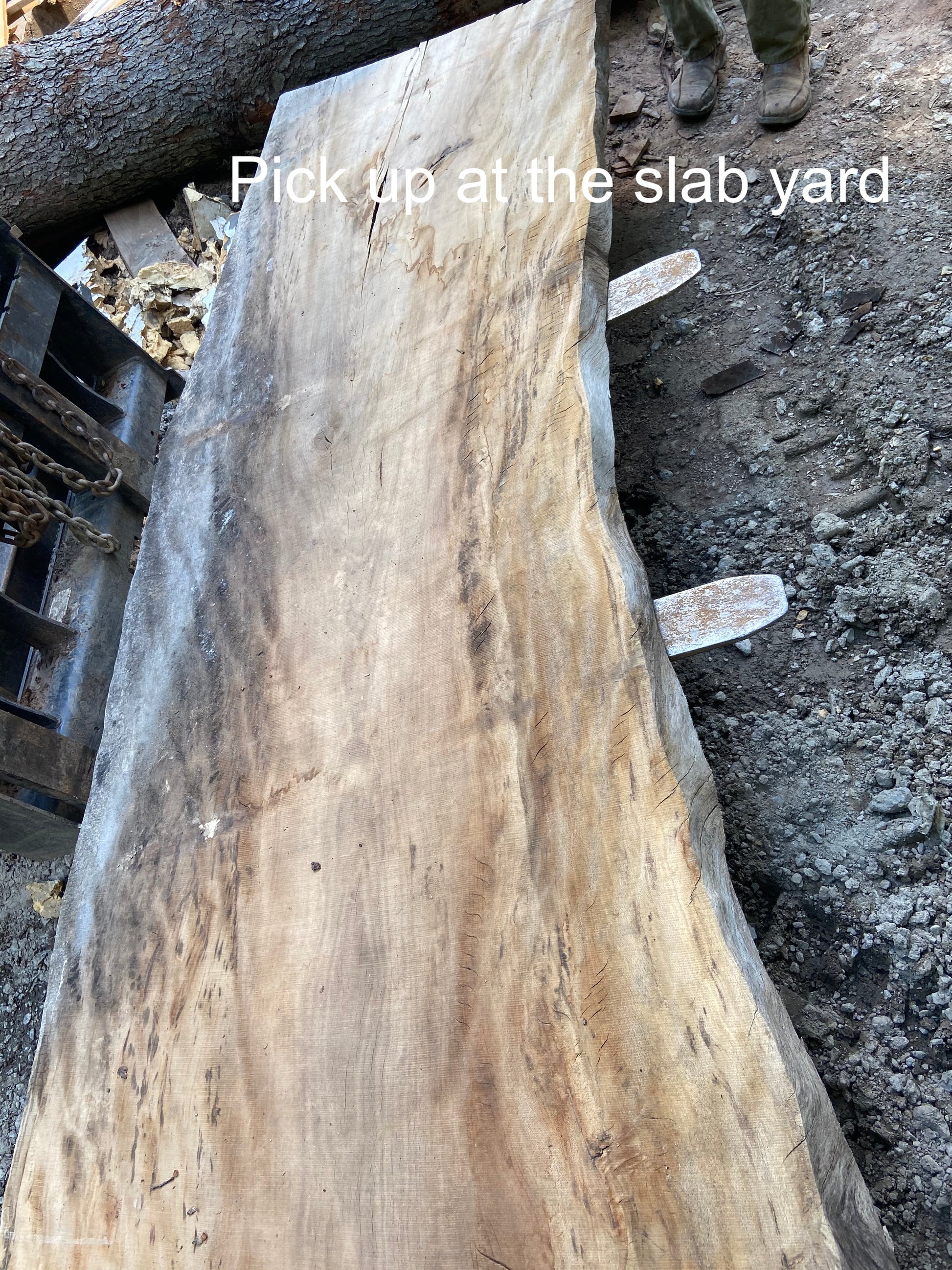  unique hardwood sycamore dining room table slab and trestle legs