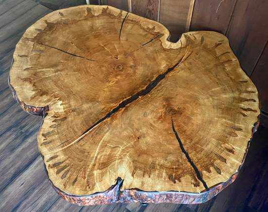 Large Ambrosia Maple Wafer Coffee Table